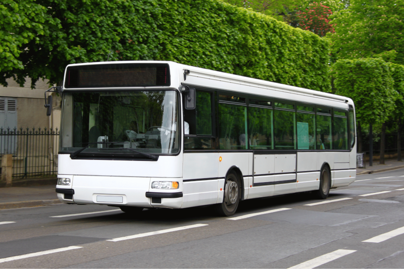 Autobus urbano in transito su strada circondata da vegetazione