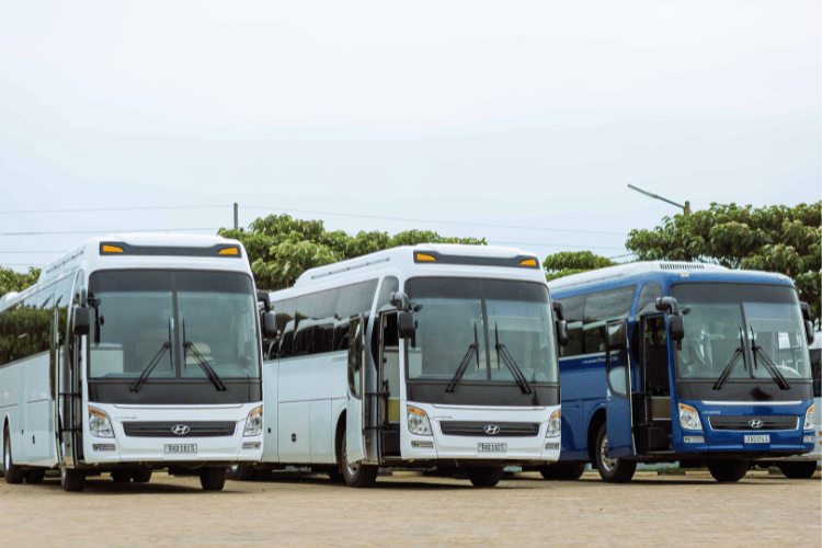Tre autobus parcheggiati affiancati, con sfondo di vegetazione e cielo sereno
